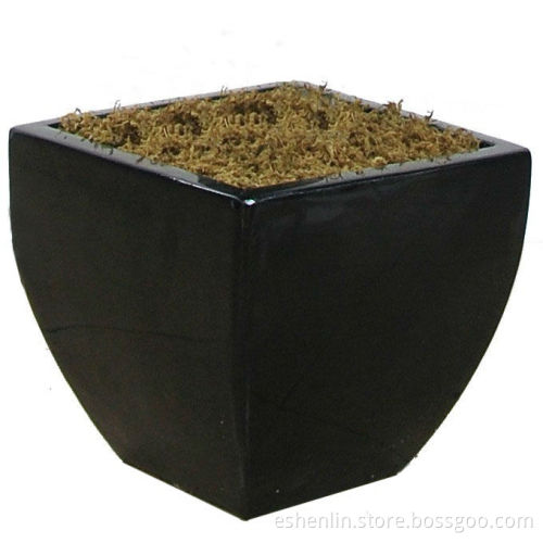 glass flower pot
